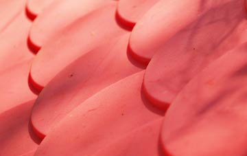 Pickney plastic roof costs